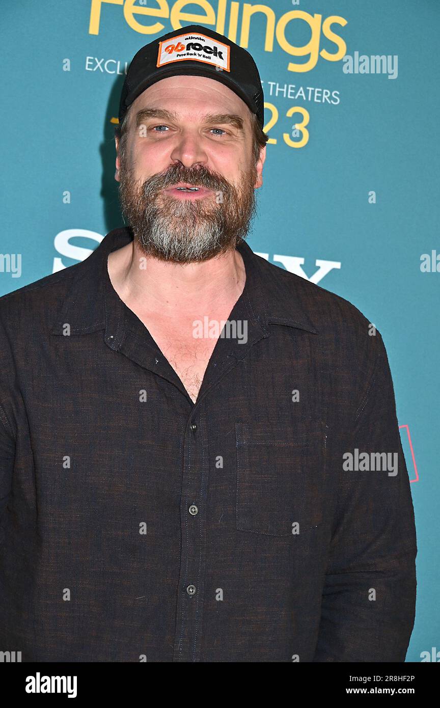 David Harbour attends The US Premiere of "No Hard Feelings" at AMC