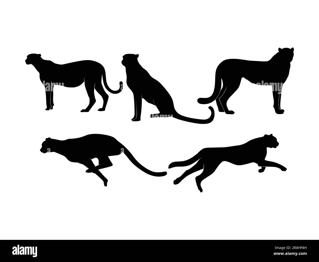 Set of Cheetahs Silhouette Isolated on a white background - Vector