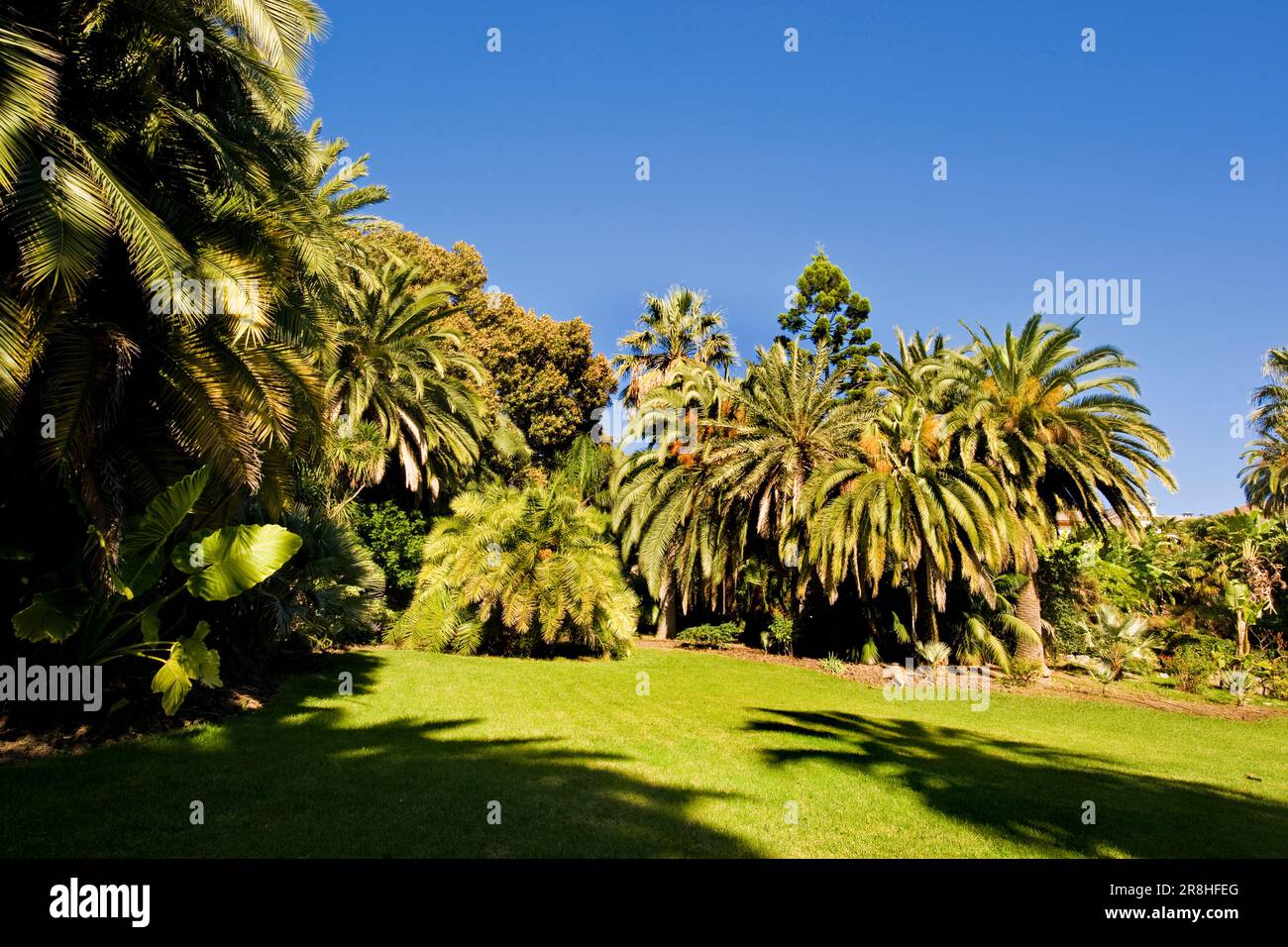 Park of villa ormond hi-res stock photography and images - Alamy