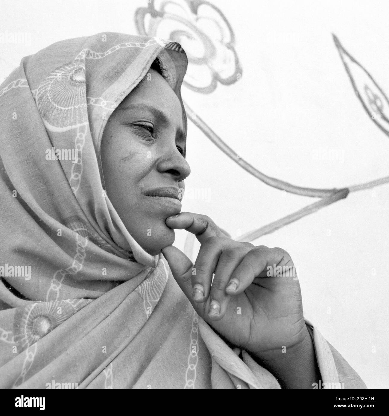 Portrait of A Woman. Nubia. Sudan Stock Photo