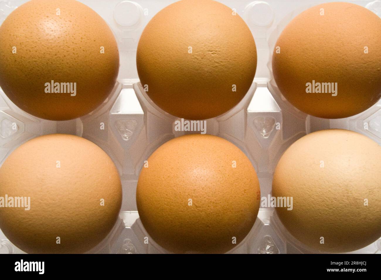 Egg Cartons Stock Photo