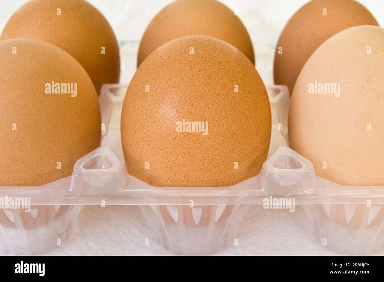 Egg Cartons Stock Photo
