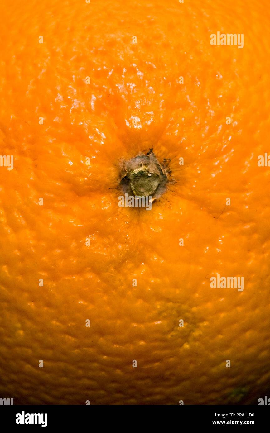 Internal orange hi-res stock photography and images - Alamy