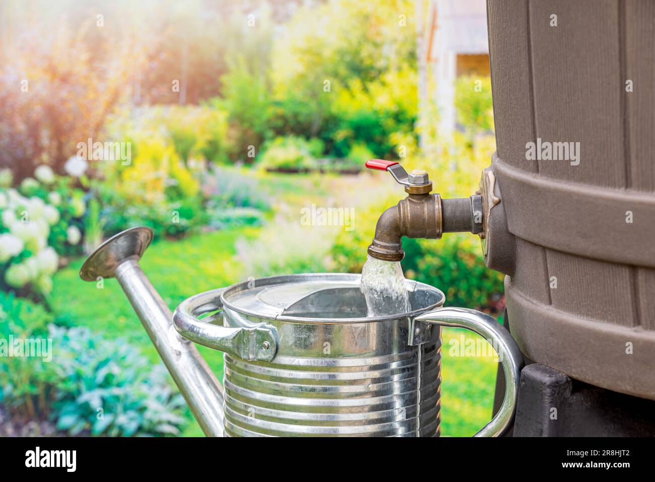 Filling watering can with water from rain barrel. Water conservation, gardening, drought and rainwater collection. Stock Photo