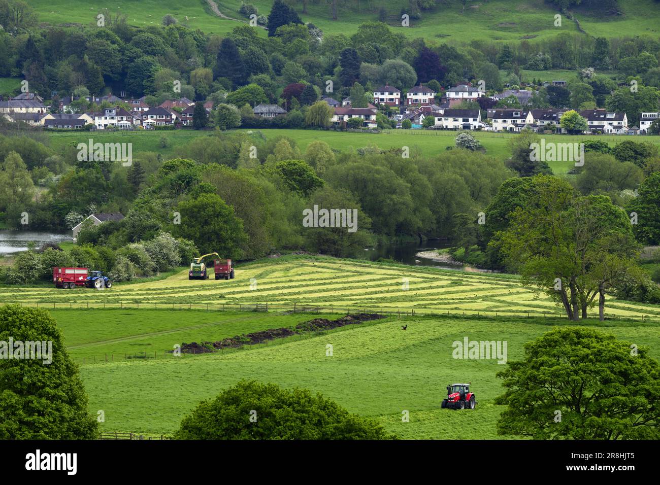 Haymaking - (forager driven on farmland fields, loading filling trailer, cut grass lines, farmers driving & working) - Otley, Yorkshire, England, UK. Stock Photo