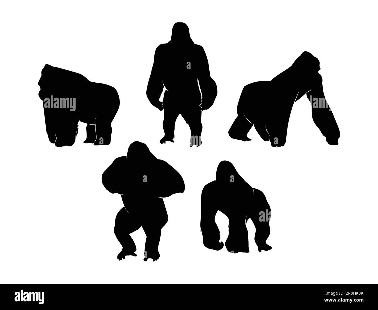 Set of Gorillas Silhouette Isolated on a white background - Vector Illustration Stock Vector