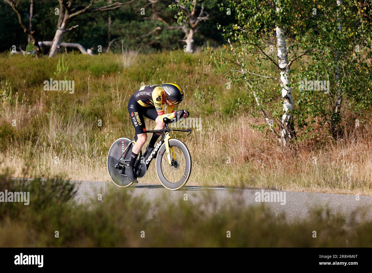 GIANT TRAILS COMP 拡げ 20 トライアル GIANT TRAILS COMP 拡げ 20 トライアル