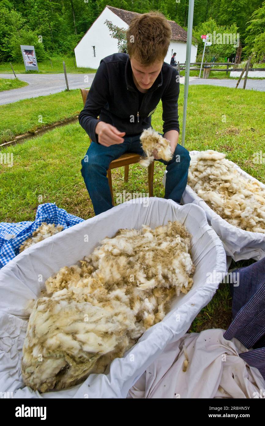 Wool processing hi-res stock photography and images - Alamy