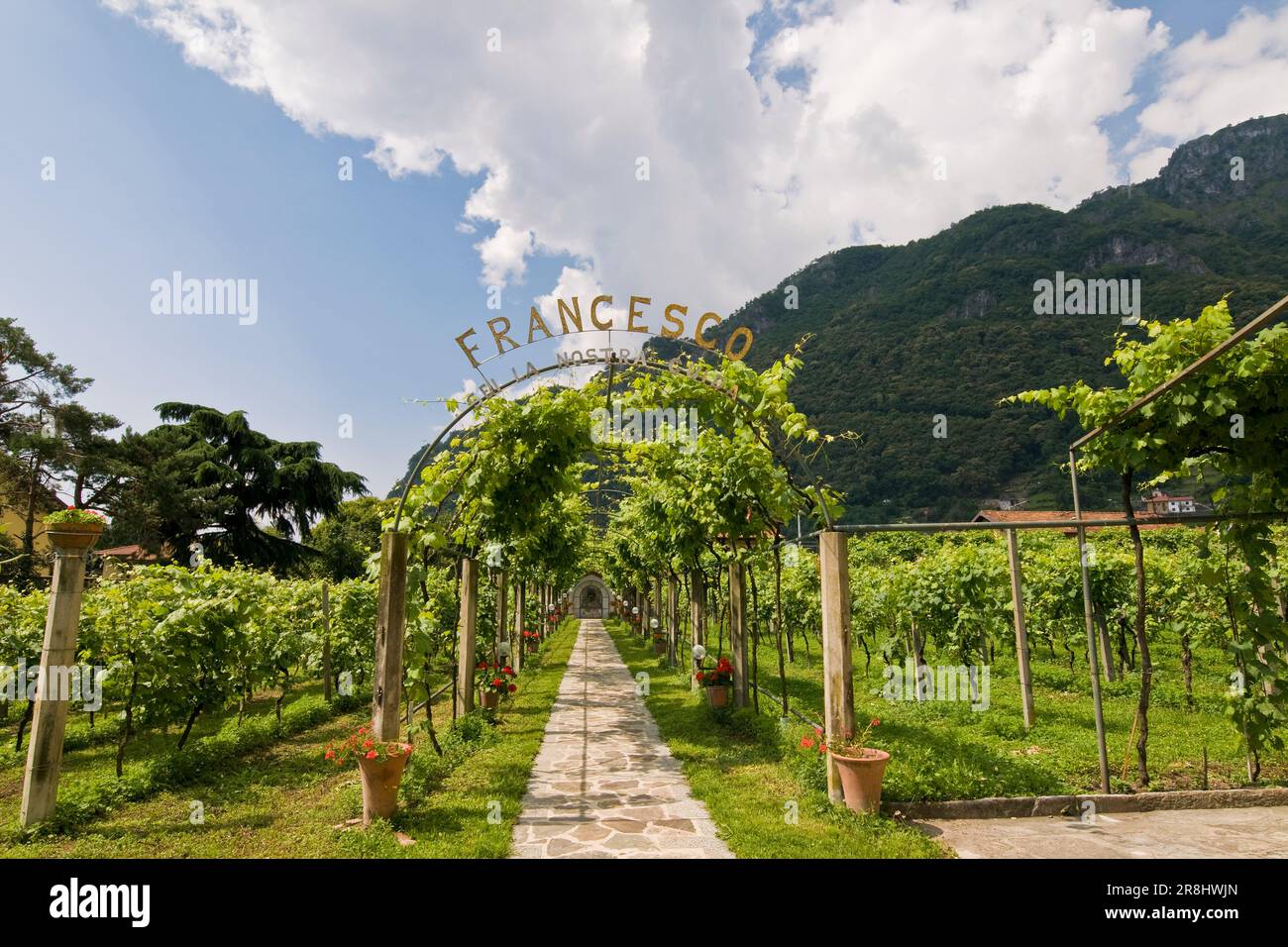 Vineyard. Convent of Our Lady of Tears. Convent of Madonna Delle Lacrime. Dongo. Como Lake. Italy Stock Photo