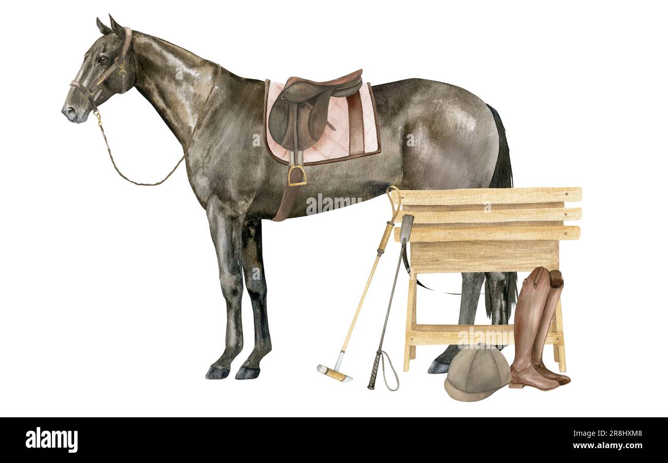 Watercolor illustration of a standing English Thoroughbred bay horse