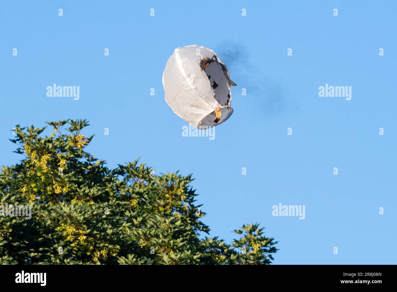 Sky lantern or Chinese lantern alight in the sky - the paper lantern has caught fire and descending next to a tree creating a fire hazard  - UK Stock Photo