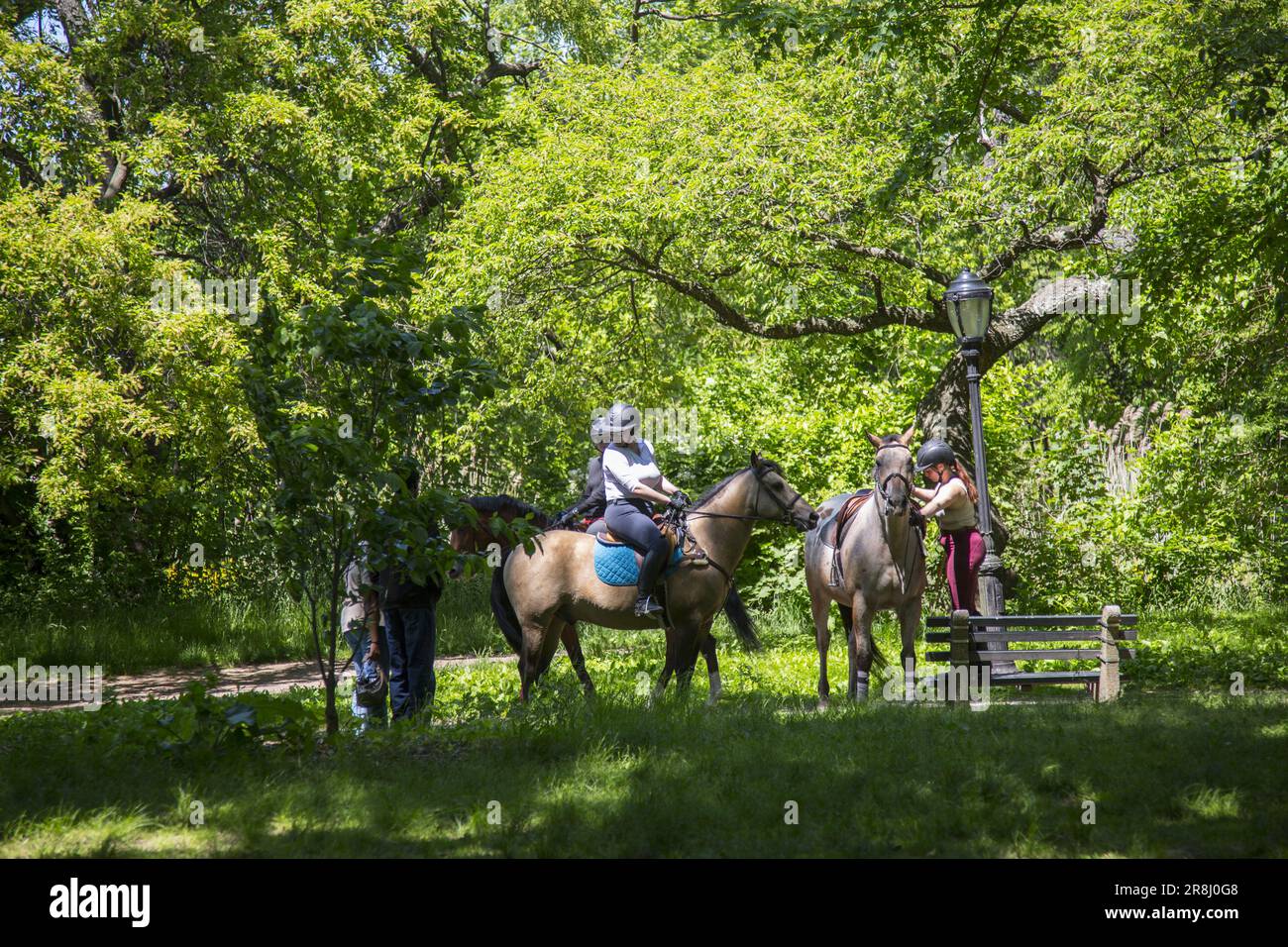 Women riding horses spring hires stock photography and images Alamy