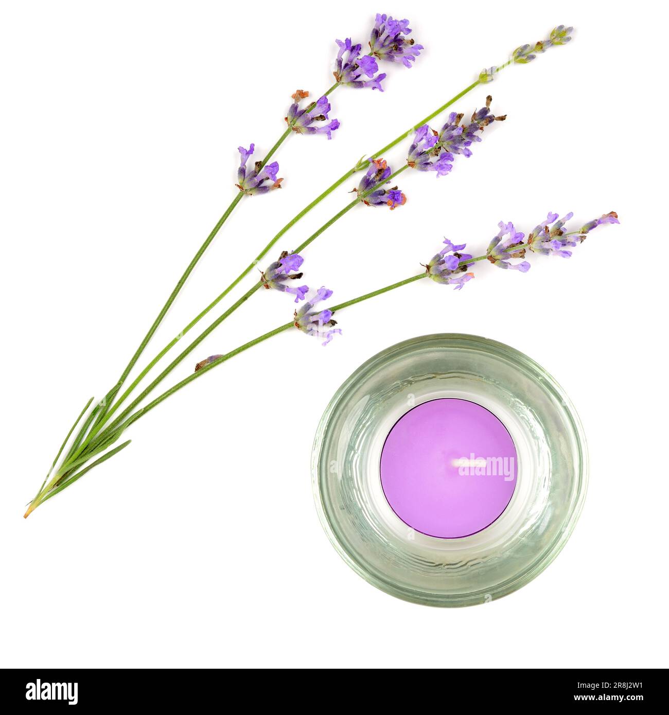 Homemade Pressed Lavender Candle (With Real Lavender!) - Garden Therapy