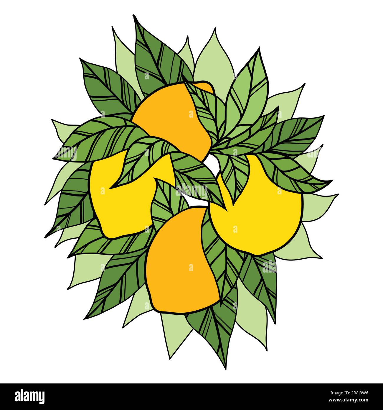 Colorful hand drawn outline clipart lemons fruit isolated from background. Vector contour illustration of bunch of citrus with foliage. Image for menu Stock Vector