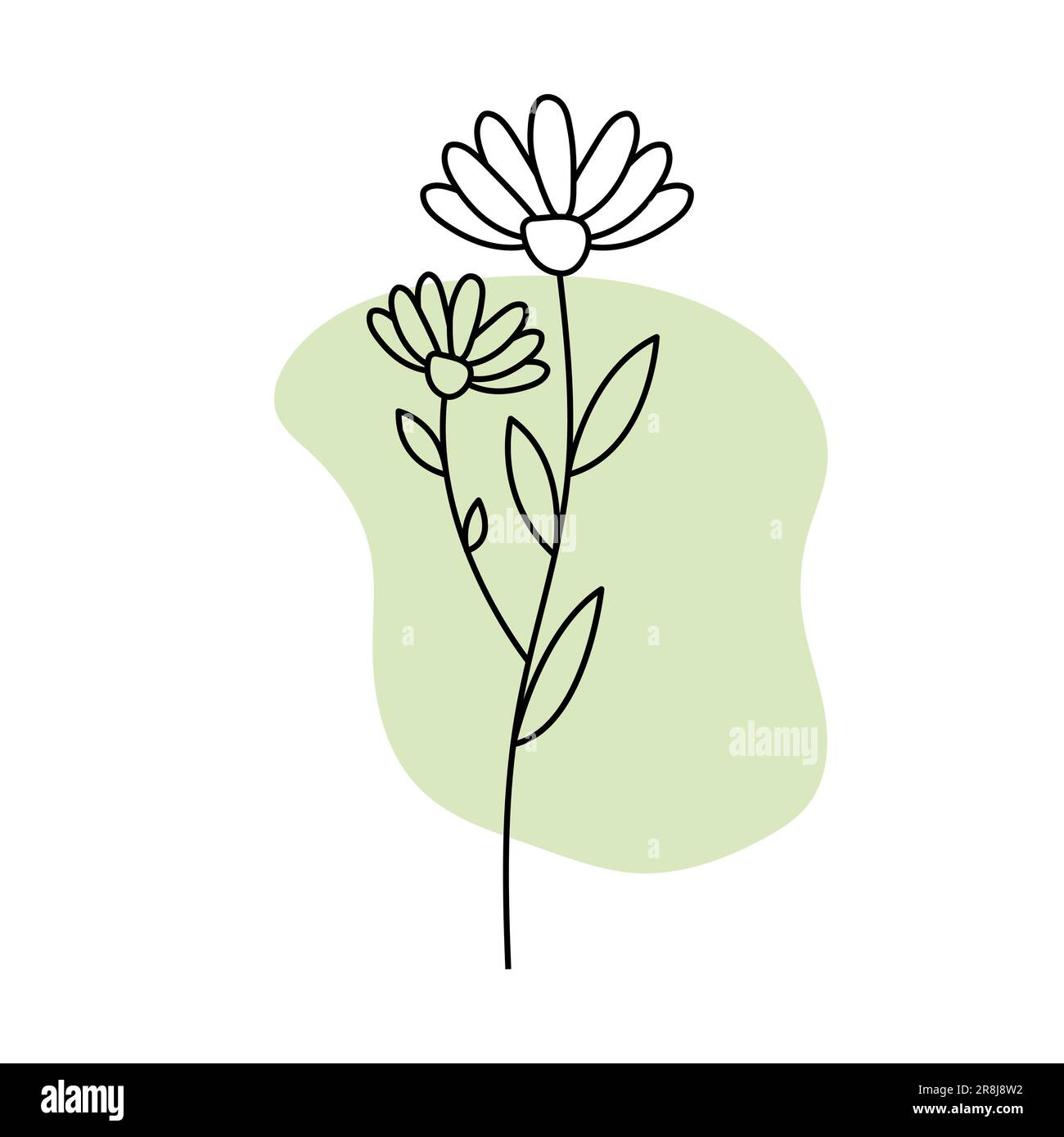 Chamomile line flower icon with abstract shape. Vector illustration Stock Vector