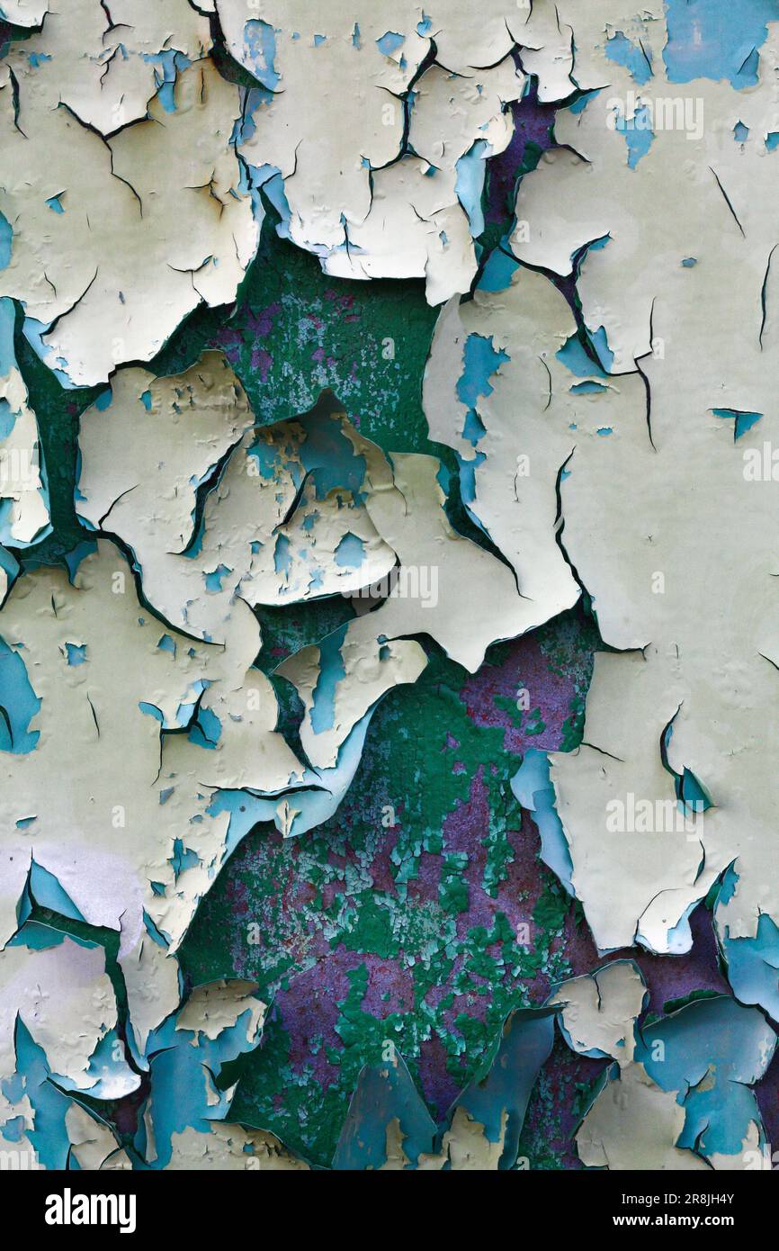 paint peeling off of a metal sheet a surface texture Stock Photo Alamy
