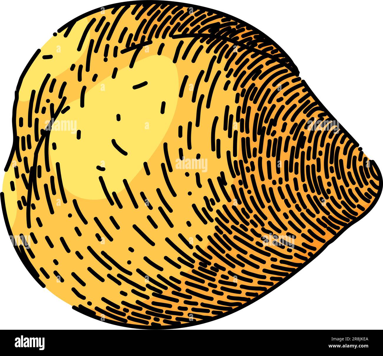 chickpea hummus pea sketch hand drawn vector Stock Vector Image & Art ...