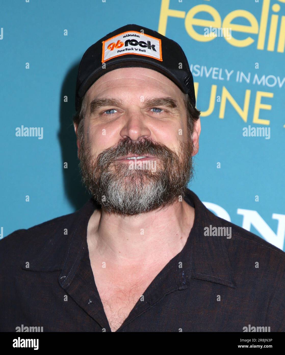 New York City, USA. 20th June, 2023. David Harbour attending the 'No