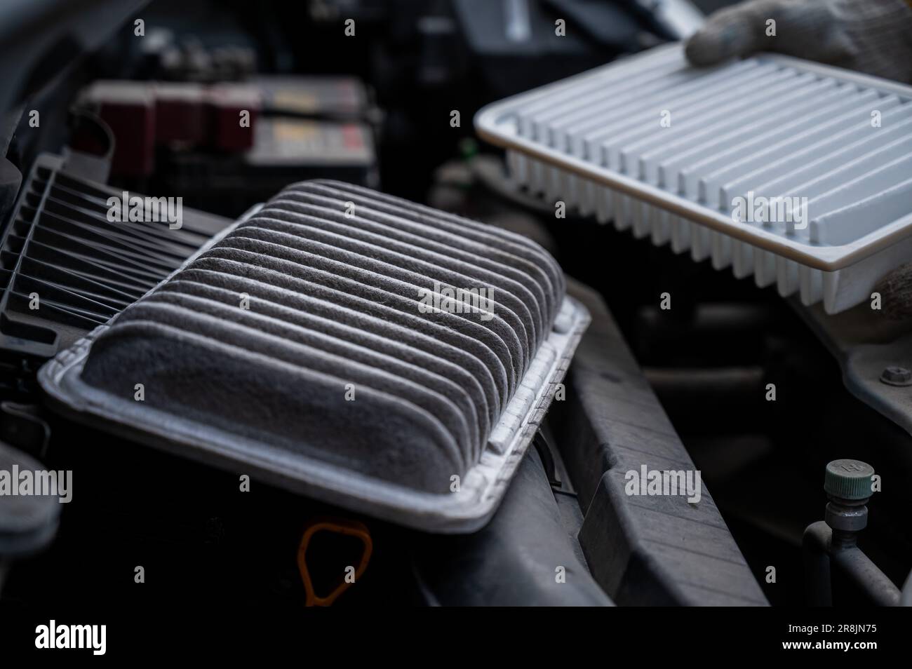 The master changes the air filter in the car engine Stock Photo Alamy