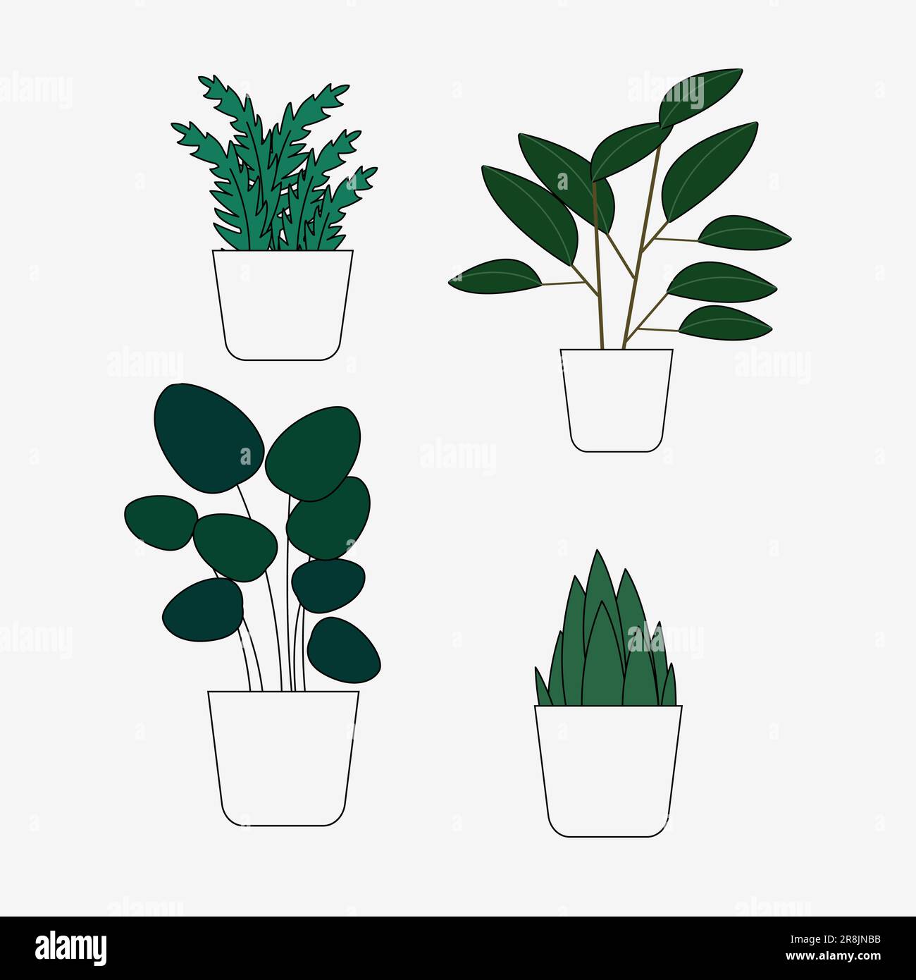 Photography of plants Stock Vector Images - Alamy