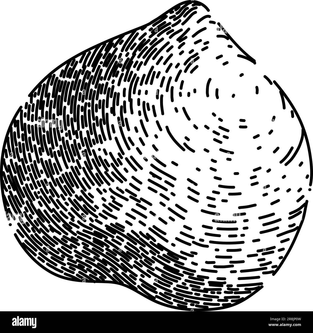 hazelnut nut brown sketch hand drawn vector Stock Vector Image & Art ...