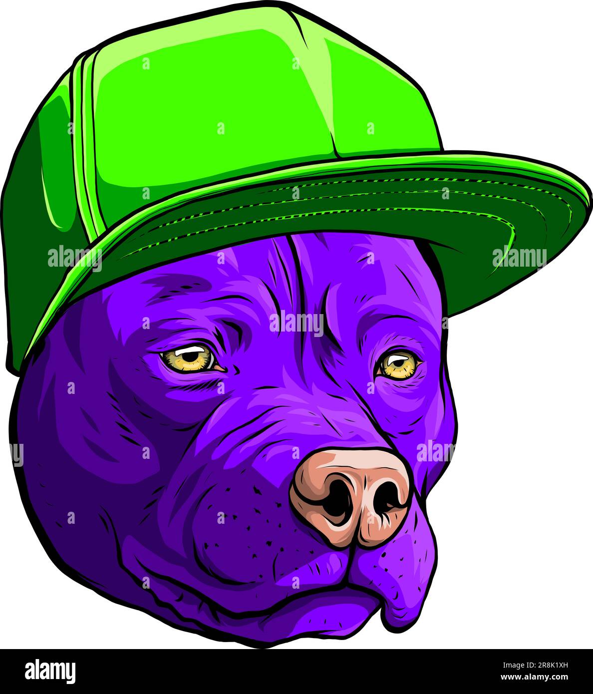 vector illustration of Pitbull dog in cap Stock Vector Image & Art Alamy
