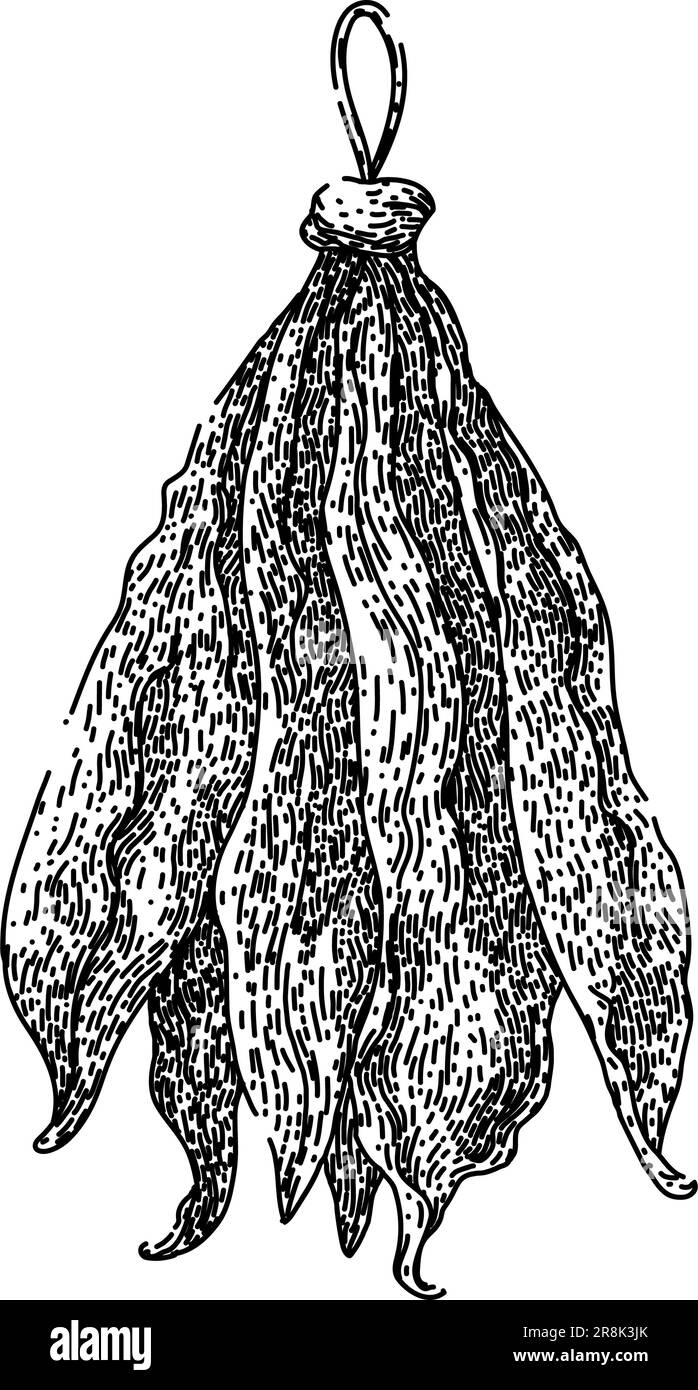 Prime Leaf Home - Prime Leaf Export Australia