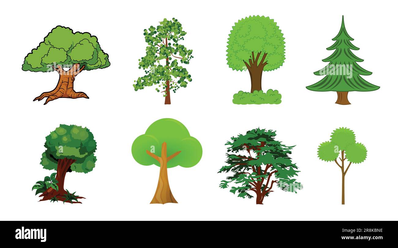 various detailed colorful cartoon trees set collection vector image