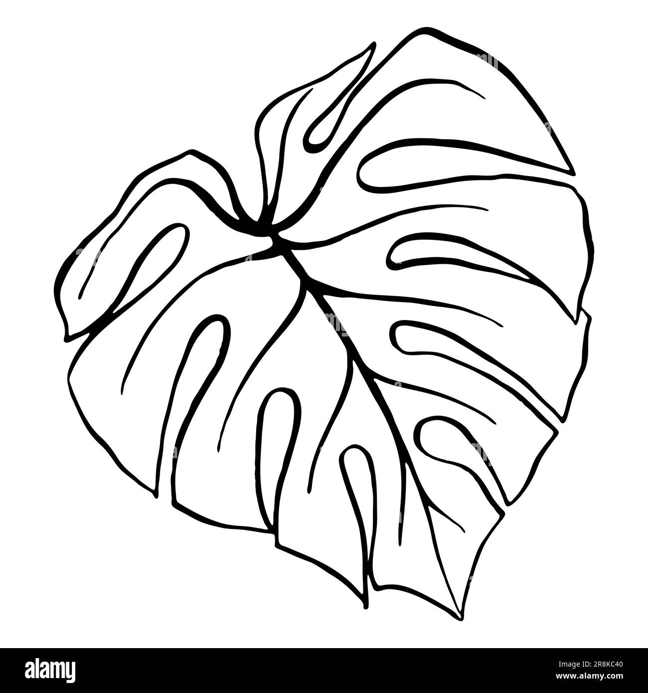 Monstera leaf tropical plant ink line art hand drawn sketch isolated ...