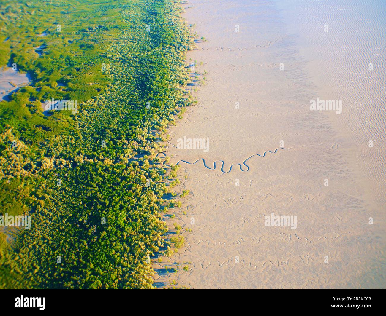 Aerial View of the Kimberley Mangroves, The Kimberley Western Australia Stock Photo