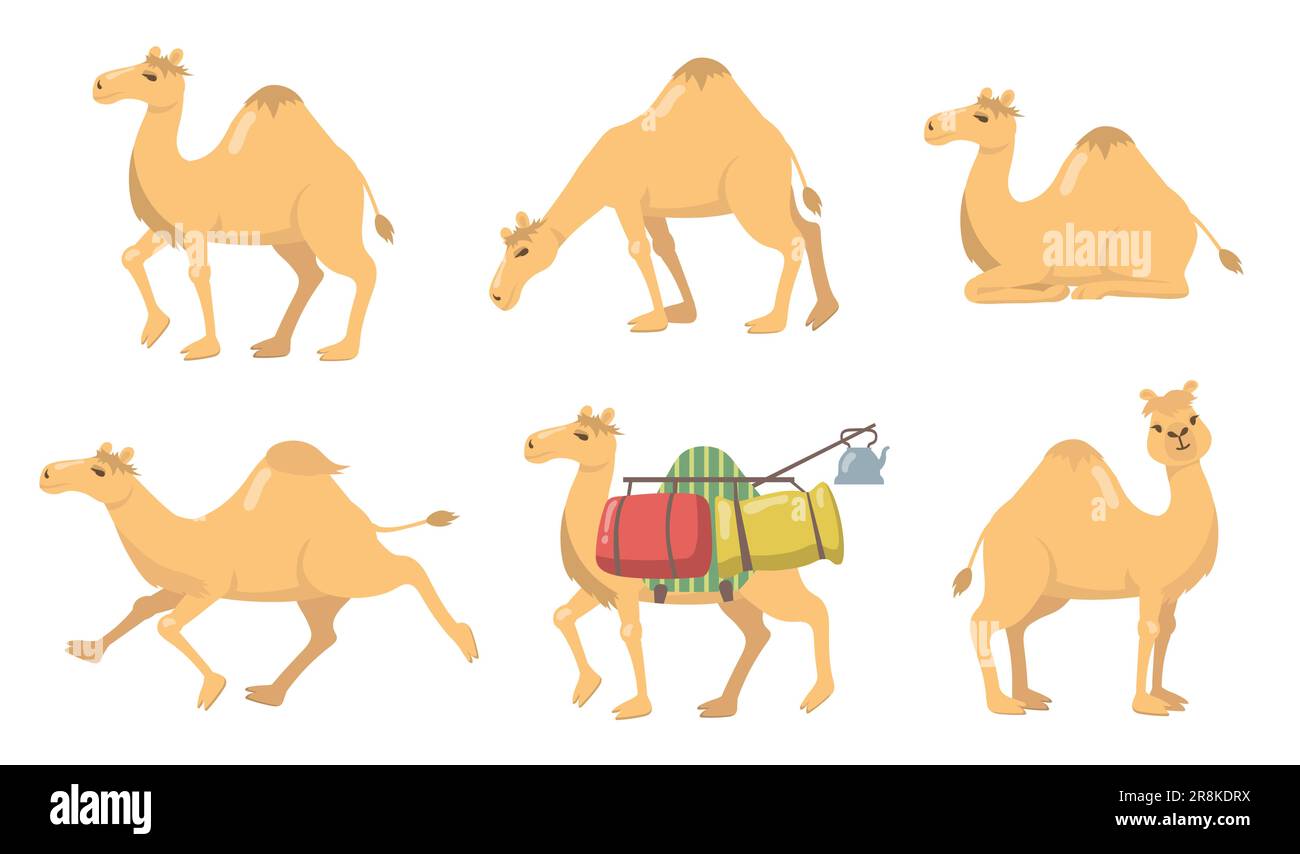 Various camels with one hump flat icon set Stock Vector