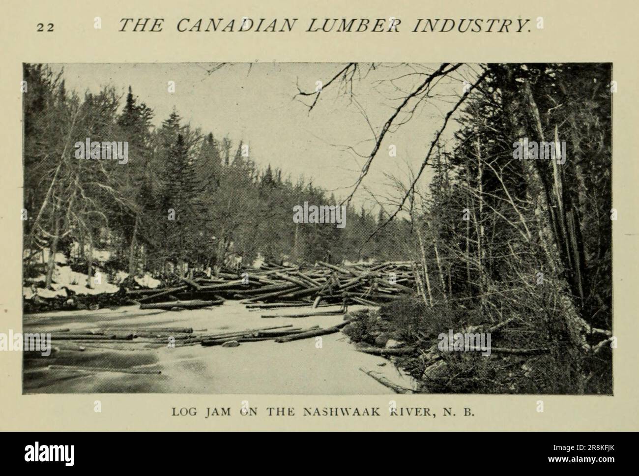 Log Jam on the Nashwaak River N. B. from the Article THE CANADIAN LUMBER INDUSTRY. by J. S. Robertson from The Engineering Magazine DEVOTED TO INDUSTRIAL PROGRESS Volume X October 1896 NEW YORK The Engineering Magazine Co Stock Photo