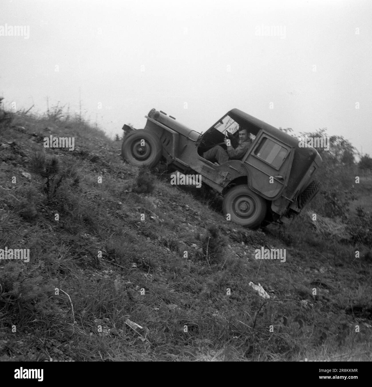 Willys Jeep - Französisches Heer / French Land Forces (Army) / Armée de ...