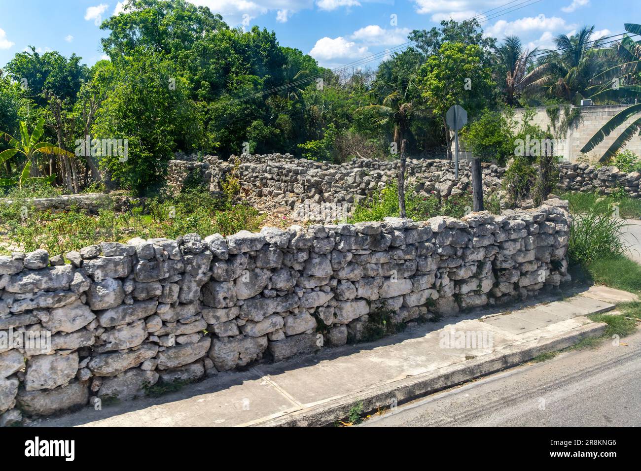View from bus window of carboniferous limestone stone blocks in dry stone walls, Hunucma, Yucatan State, Mexico Stock Photo