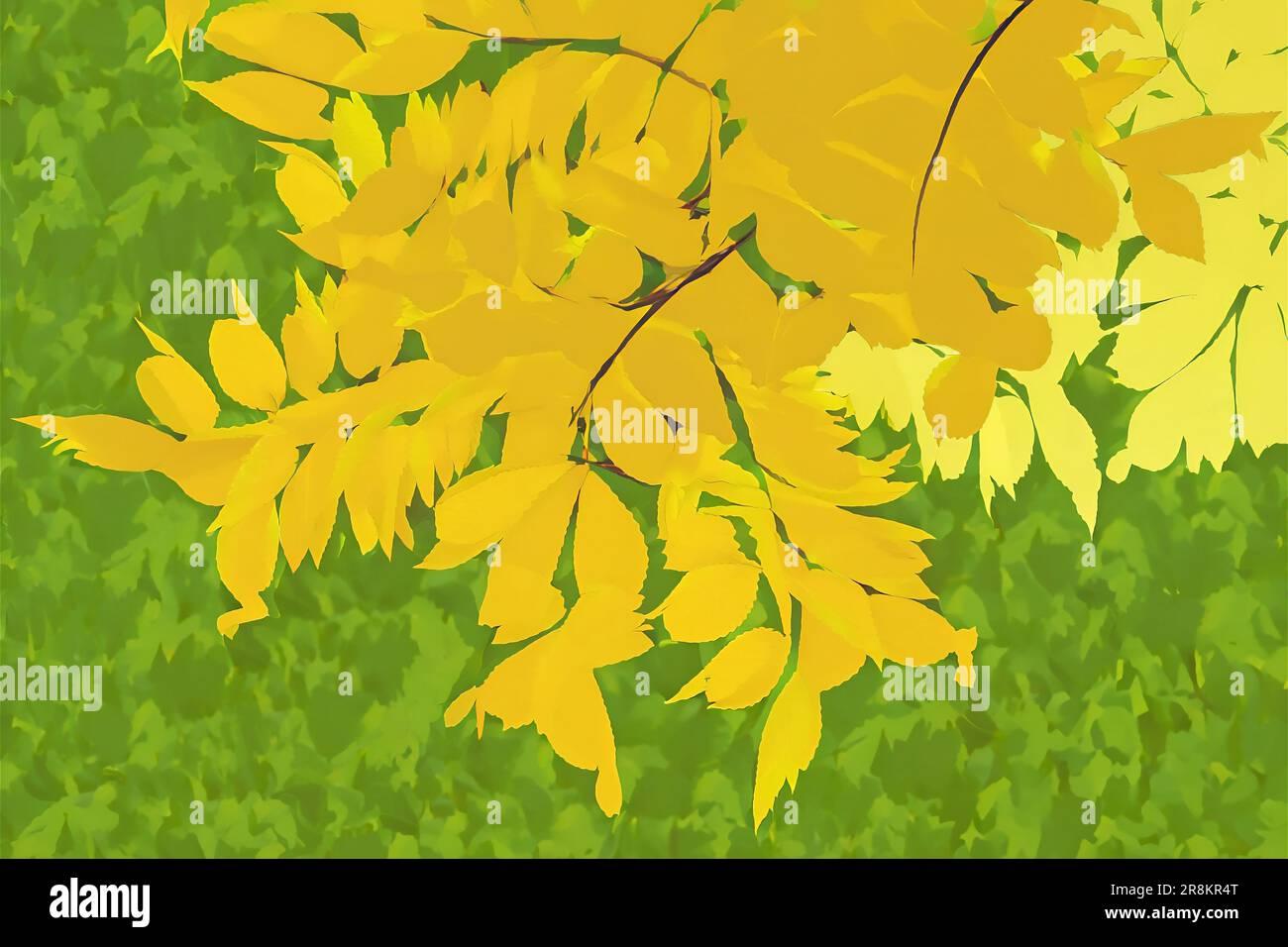 Yellow leaves fall from trees, close-up. Background lining for text. Abstract background with autumn leaves. Autumn background Stock Photo