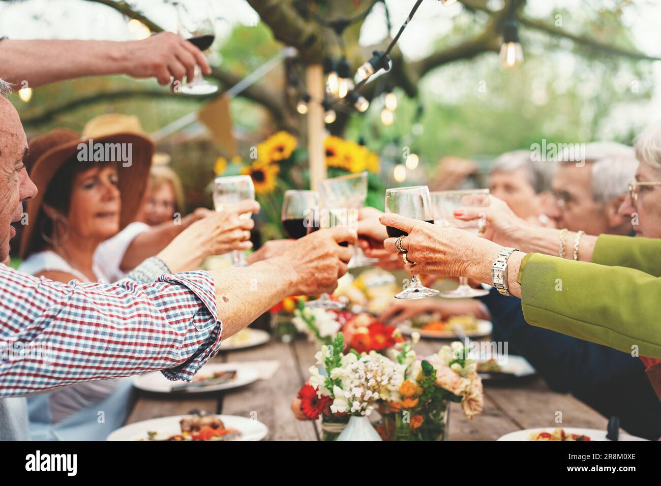 At a country garden gathering, a group of senior friends raise their glasses in a cheerful toast, with focus on their hands and glasses. Stock Photo