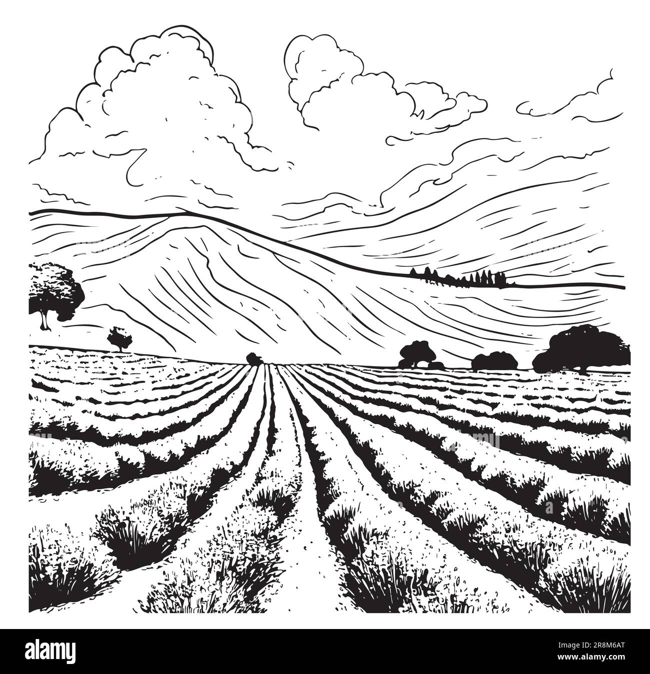 Lavender field hand drawn sketch in doodle Vector illustration Stock