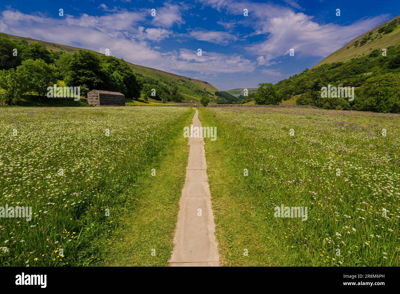 Stone-flagged path through one of Sawledale's wild flower meadows close to Muker. Yorkshire Dales National Park Stock Photo
