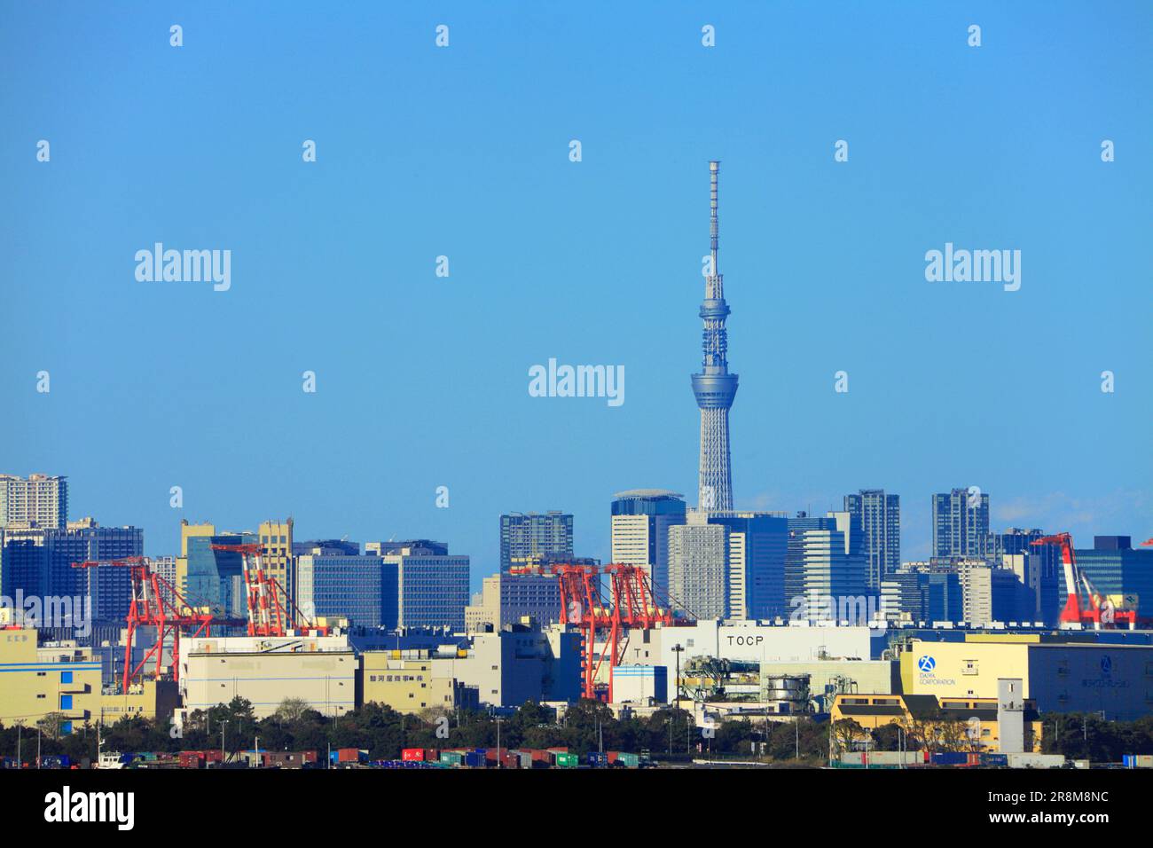Tokyo Sky Tree and a building complex Stock Photo - Alamy