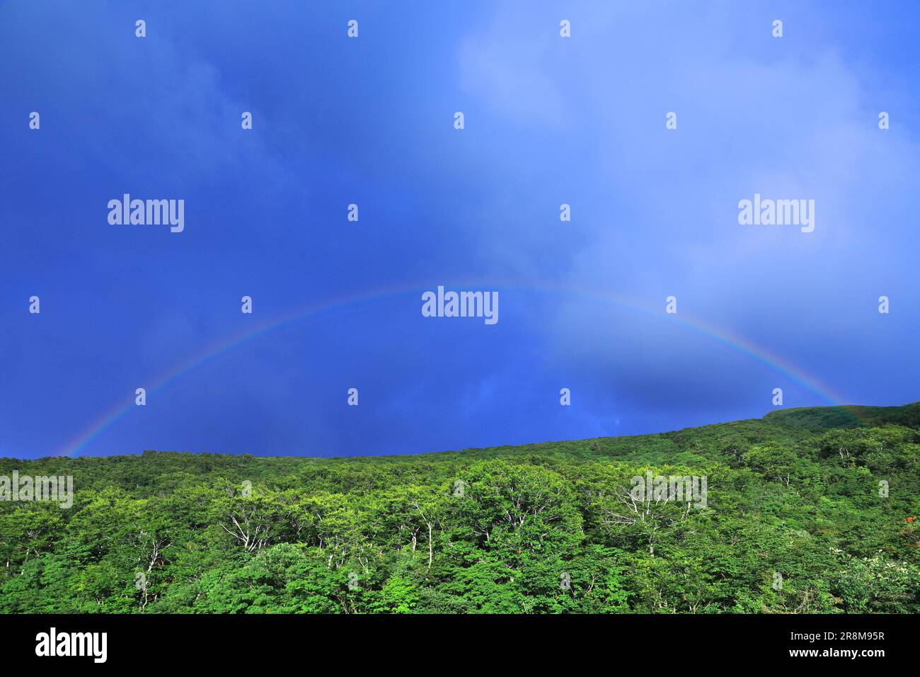 Rainbow 100 hi-res stock photography and images - Alamy