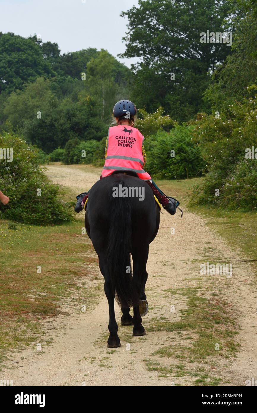 Young horse rider with helmet and Hi Vis safety vest riding in the New ...