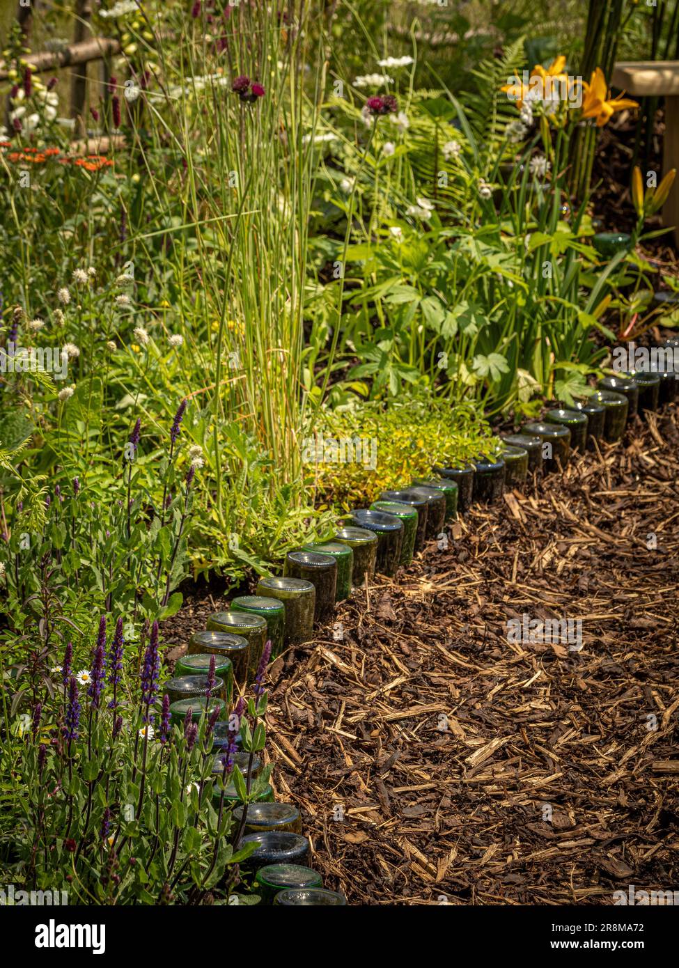 Bark chipping garden path edged with recycled wine bottles in a UK garden. Stock Photo