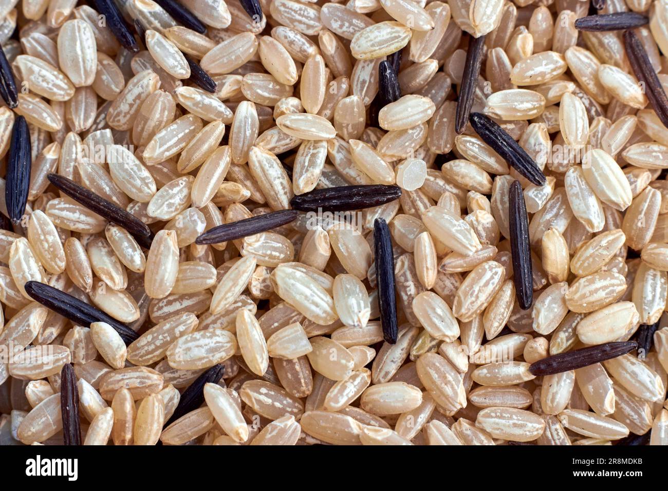 Background of scattered brown and black wild rice. Coarse rice with a low glycemic index Stock