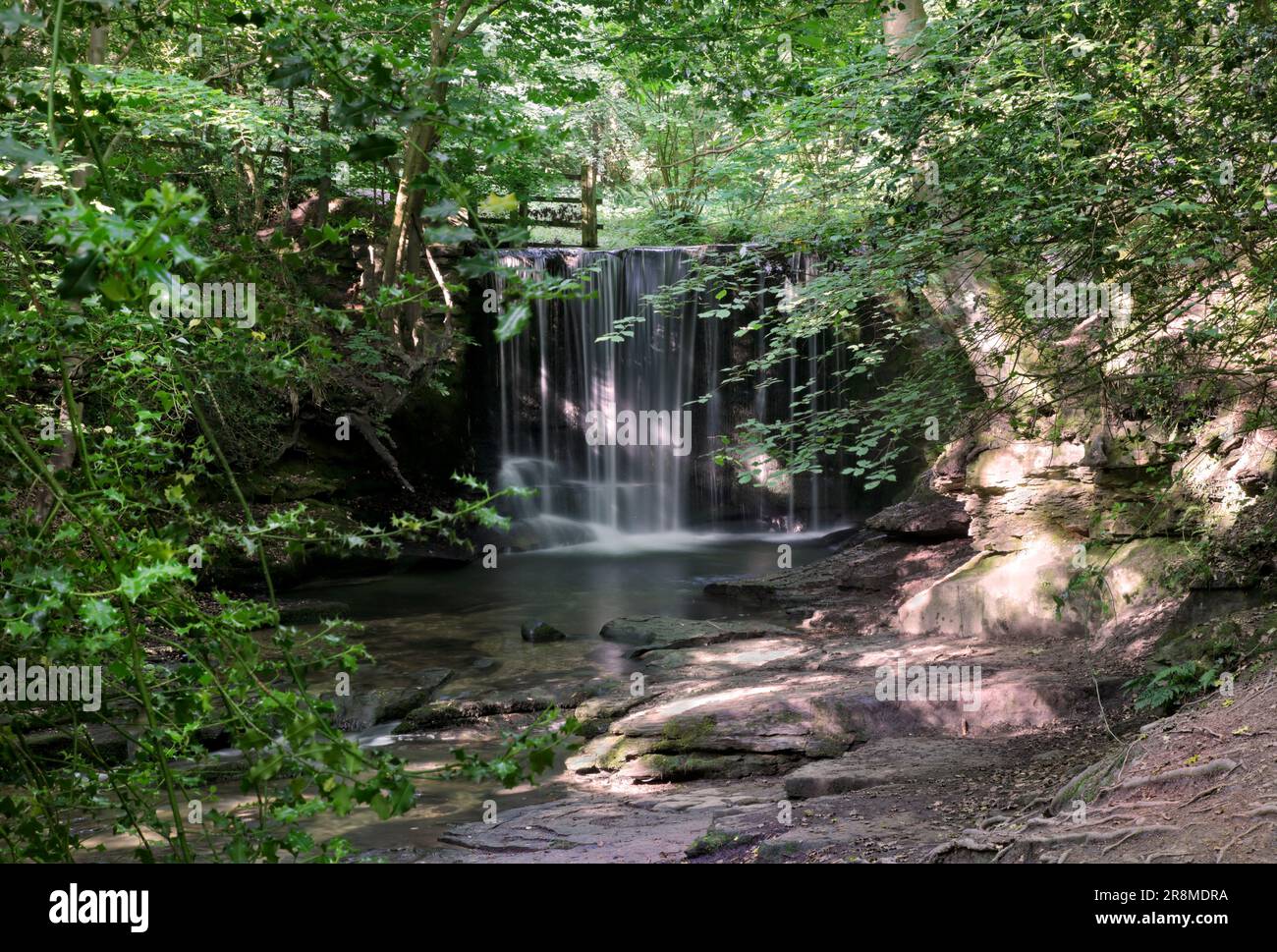 Plas Power Waterfall, Plas Power Woods, Coedpoeth, Wales Stock Photo