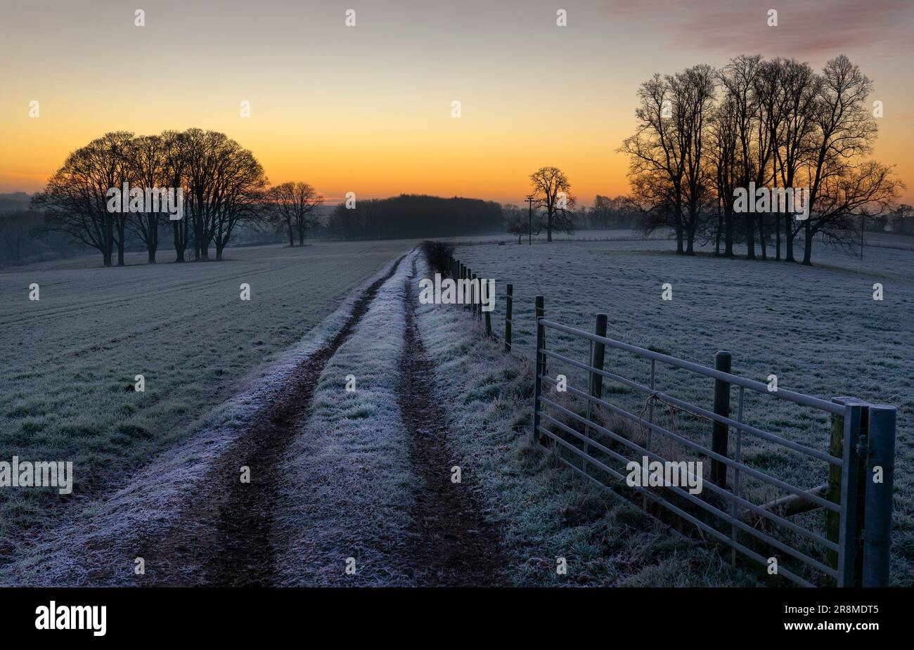Cold early morning Oxfordshire Landscape , sunrise fields in frost Stock Photo