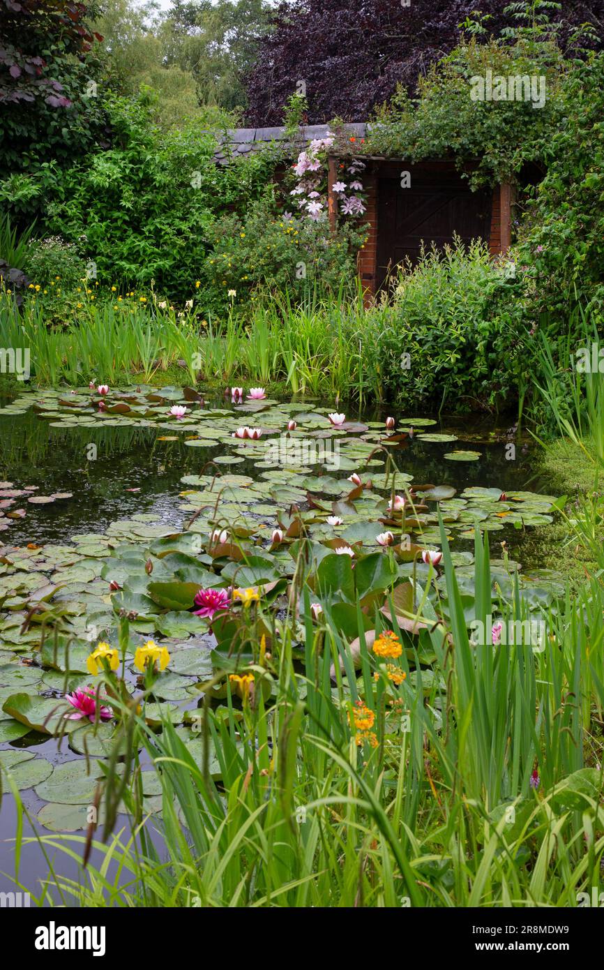 Garden pond in english country garden,Oxfordshire Stock Photo - Alamy