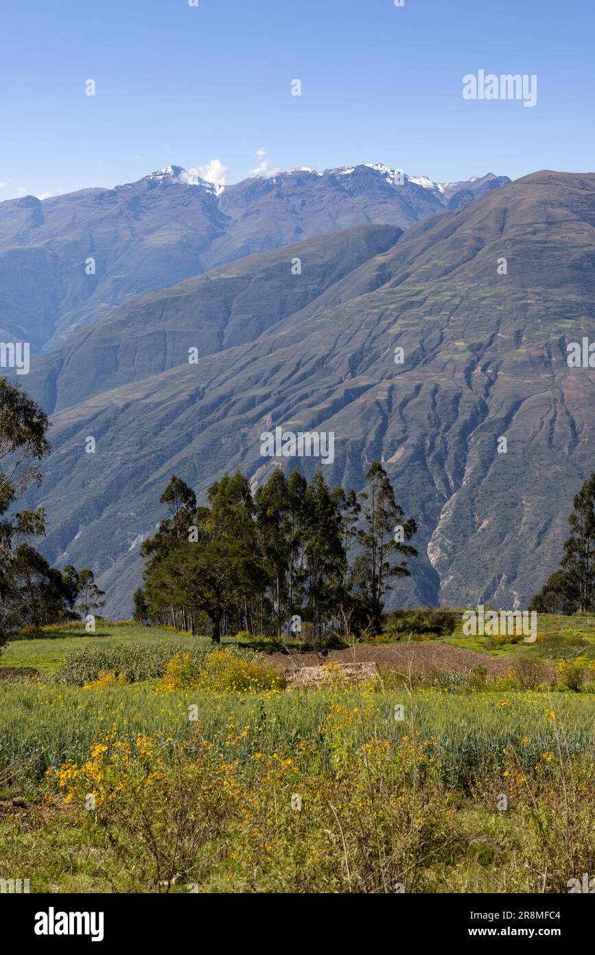 Scenic drive through a lush, forested and mountainous landscape in the 