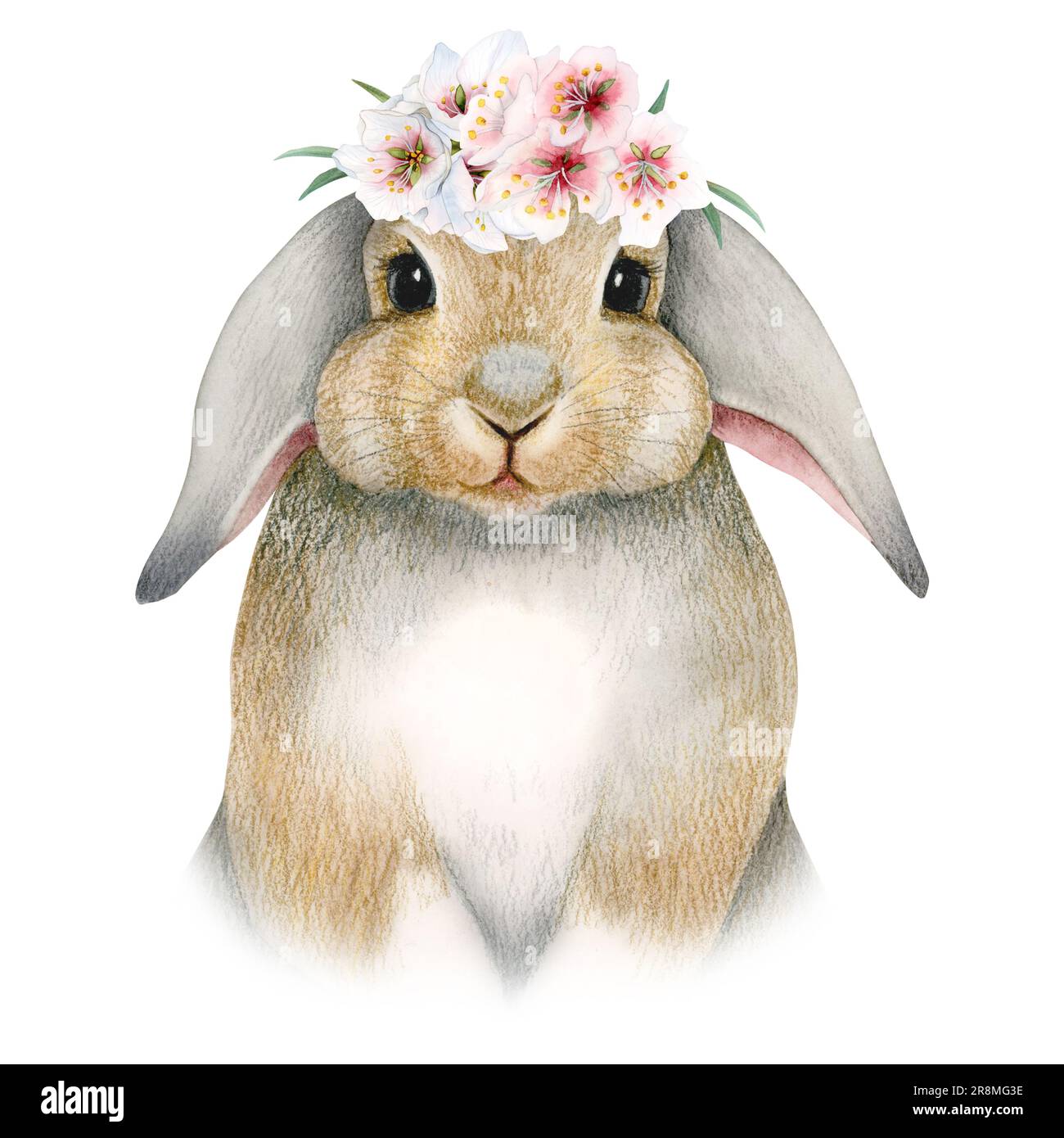 Easter bunny rabbit portrait with spring pink white flowers wreath on head watercolor illustration. Cute animal pet Stock Photo