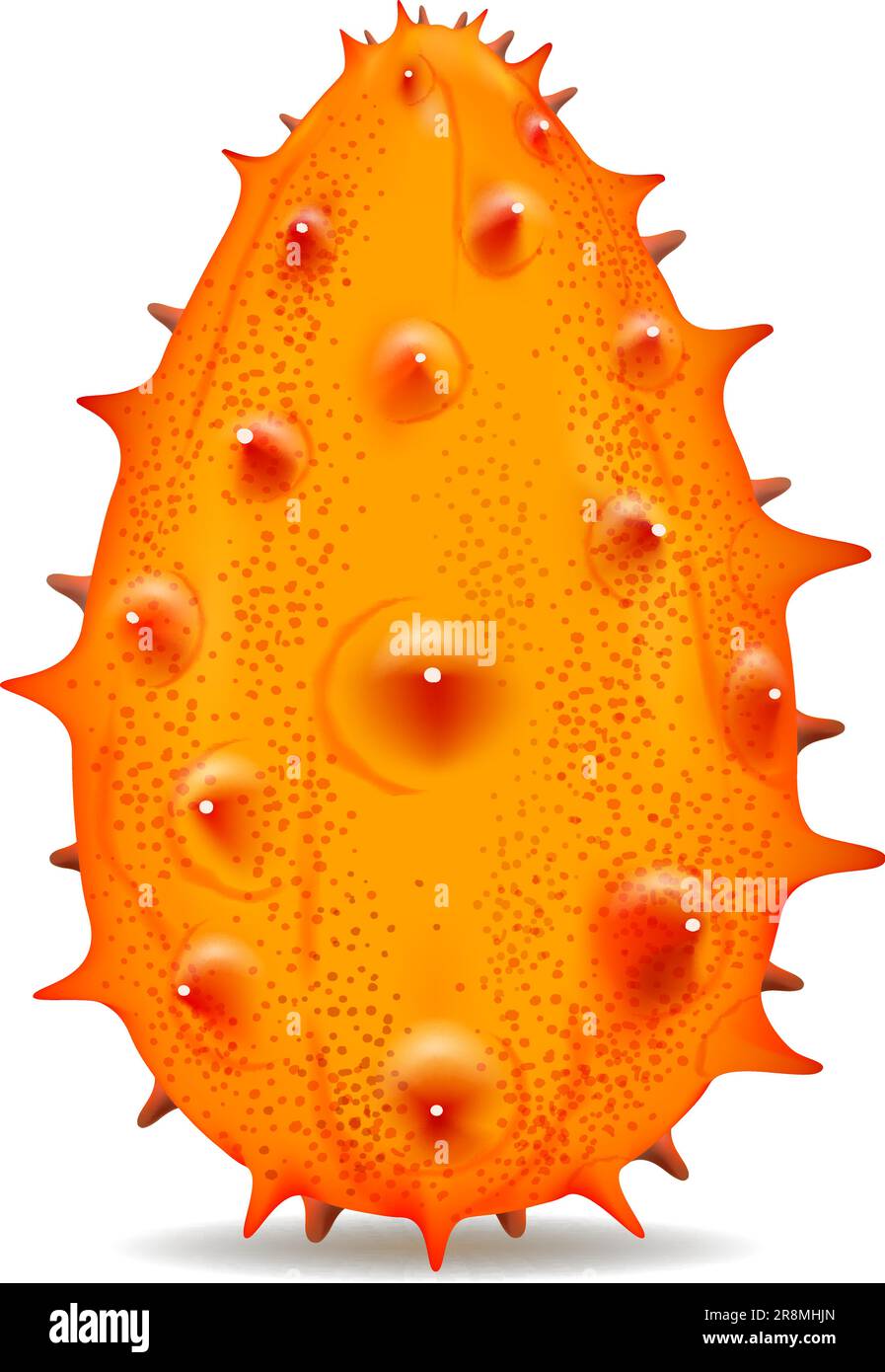 Horned melon fruit realistic Stock Vector Image & Art Alamy