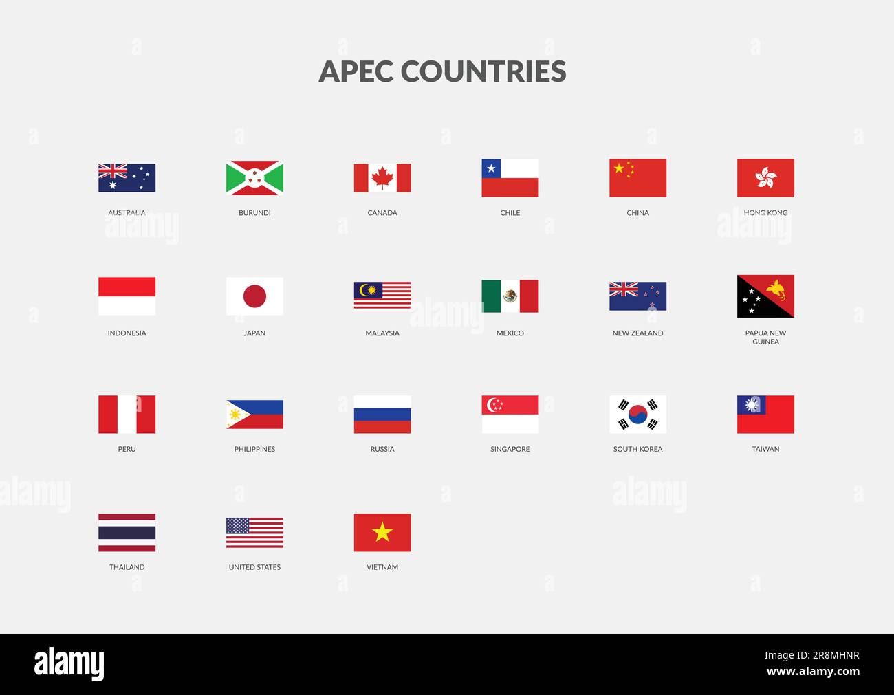 APEC - Asia-Pacific Economic Cooperation Countries Rectangle flag icon Set. Stock Vector